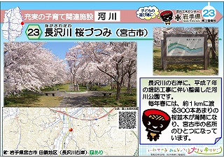 長沢川 桜づつみ（宮古市）