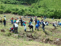 植樹活動