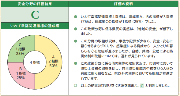 安全分野の評価結果