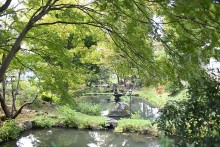 盛岡城跡公園ともりおか歴史文化館を結ぶ道路から見た盛岡城跡公園内の水辺空間の景観