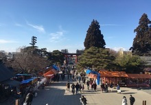 盛岡八幡宮境内から鳥居を見る景観