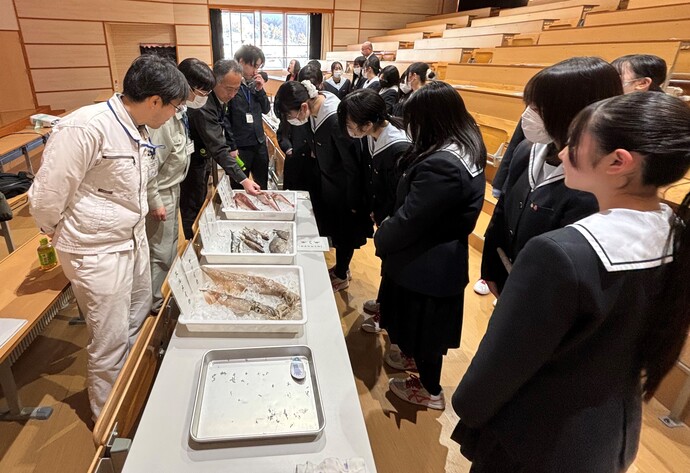 魚の観察