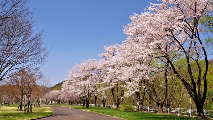 【令和7年3月26日掲載】冬季休園していた御所湖広域公園が、4月1日（火曜）から今年の営業を開始します！