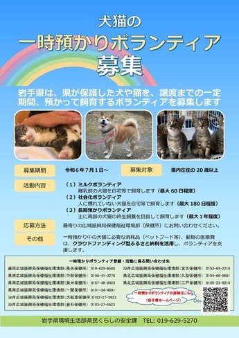 一時預かりボランティア募集
