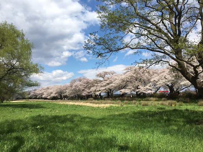 【令和7年4月11日掲載】ふるさと岩手の自然風景や歴史的文化遺産など、美しい景観を大事にしていくため「いわての残したい景観」を募集しています！