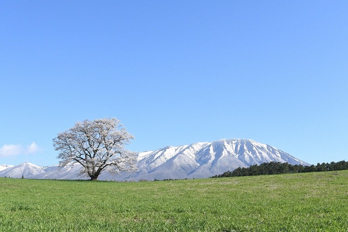 【令和7年4月4日掲載】ふるさと岩手の自然風景や歴史的文化遺産など、美しい景観を大事にしていくため「いわての残したい景観」を募集しています！