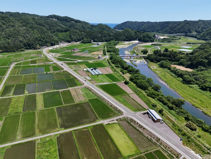 乙茂中島地区