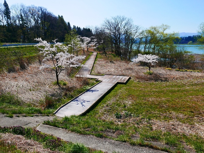 【令和7年4月23日掲載】岩手県立御所湖広域公園に春を感じに出かけませんか。
