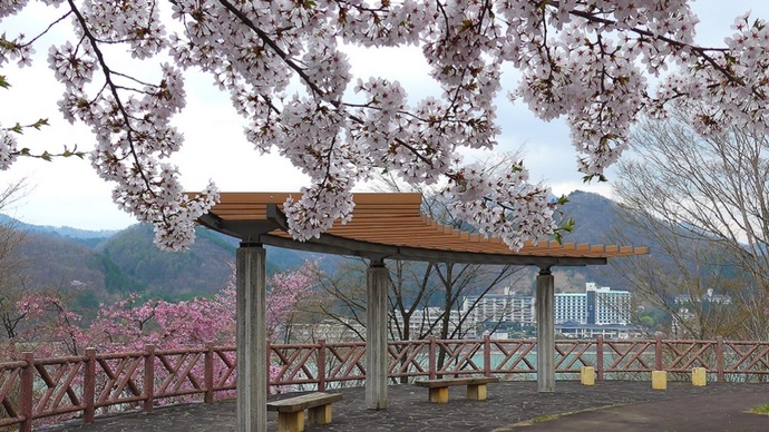 【令和7年4月28日掲載】岩手県立御所湖広域公園のさくら園の遊歩道沿いの展望台から、御所湖を一望できます！