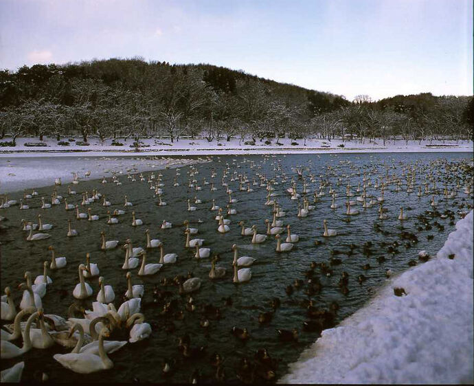 【令和7年12月26日掲載】ふるさと岩手の自然風景や歴史的文化遺産など、美しい景観を大事にしていくため「いわての残したい景観」を募集しています！