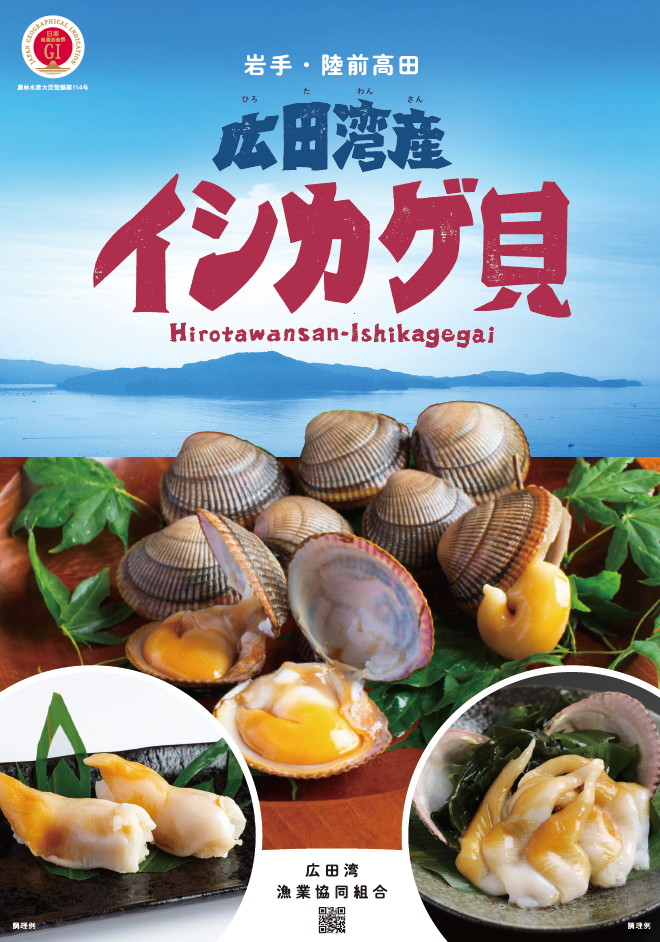 広田湾