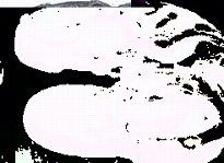 写真2