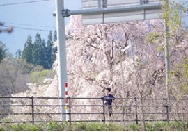 写真:10キロメートル持久走30