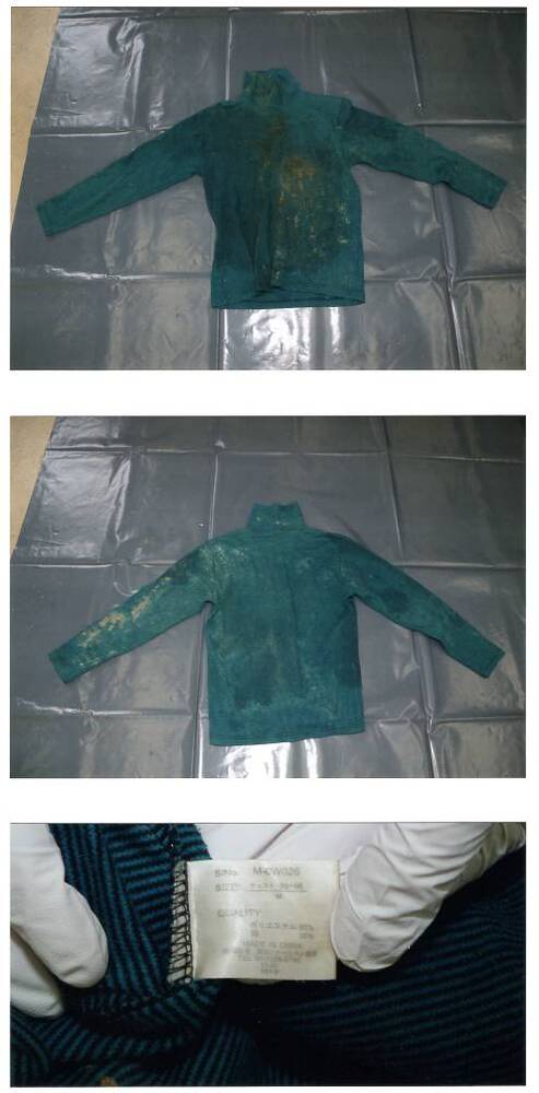 写真:緑色長袖Tシャツ