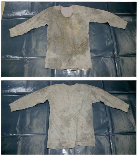 写真:灰色長袖Tシャツ